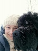 Превью фото № 233578