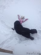 Превью фото № 233663