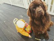 Превью фото № 233701