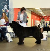 Превью фото № 233786