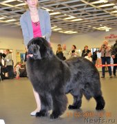 Превью фото № 233828