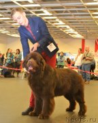 Превью фото № 233839