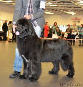 Превью фото № 233845