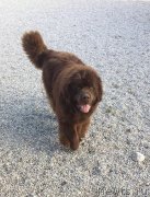 Превью фото № 233876