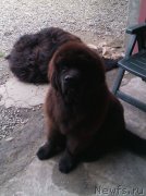 Превью фото № 233945