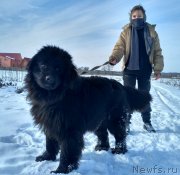 Превью фото № 233972