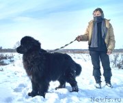 Превью фото № 233974