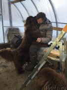 Превью фото № 234027