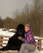 Превью фото № 234044