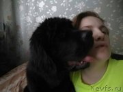 Превью фото № 234049