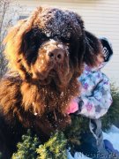 Превью фото № 234168