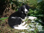 Превью фото № 234211