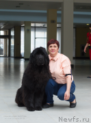 Превью фото № 234283