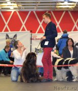 Превью фото № 234344