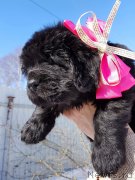 Превью фото № 234345