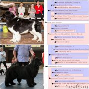 Превью фото № 234376