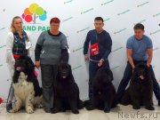 Превью фото № 234410