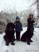 Превью фото № 234463