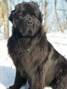 Превью фото № 234473