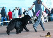 Превью фото № 234506