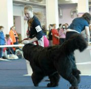 Превью фото № 234515