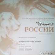 Превью фото № 234520