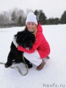 Превью фото № 234635