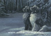 Превью фото № 234757