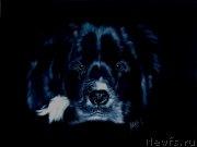 Превью фото № 234763