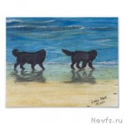 Превью фото № 234768