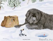 Превью фото № 234777