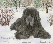 Превью фото № 234785