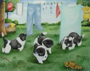 Превью фото № 234793