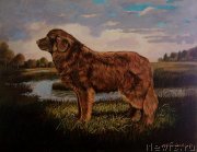 Превью фото № 234822