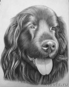 Превью фото № 234848