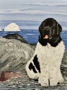 Превью фото № 234854