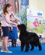 Превью фото № 234866