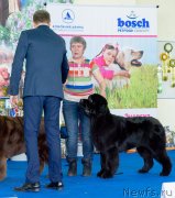 Превью фото № 234868