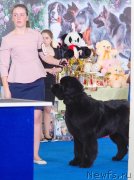 Превью фото № 234870