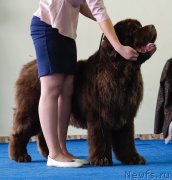 Превью фото № 234871