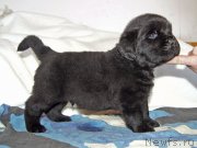 Превью фото № 234897