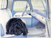 Превью фото № 234932