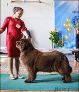 Превью фото № 234940