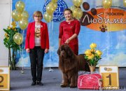 Превью фото № 234941