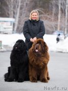 Превью фото № 234944