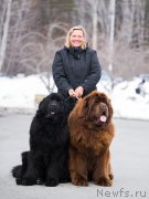 Превью фото № 234945