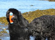 Превью фото № 235007