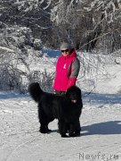 Превью фото № 235021