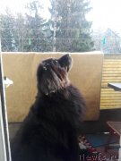 Превью фото № 235038