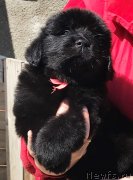 Превью фото № 235046